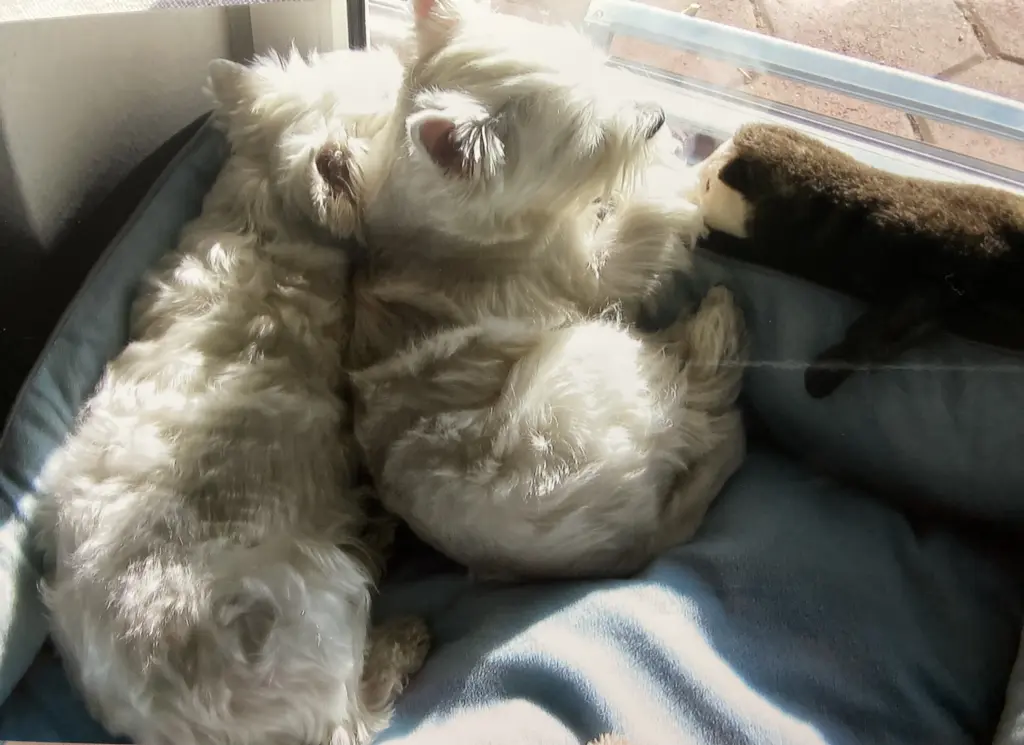 Condolence image of Unbekannt