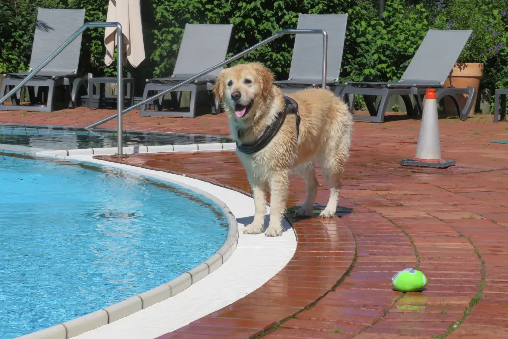 Condolence image of Peter & Christa mit Theo