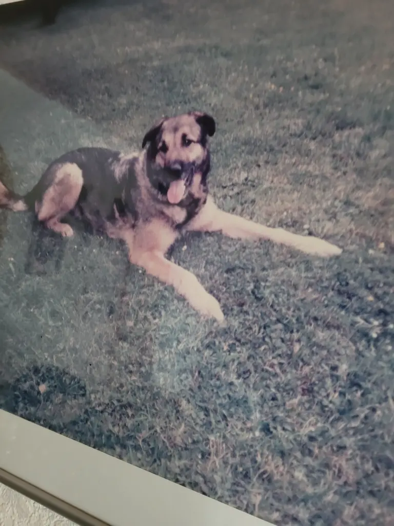 Condolence image of Gabriele