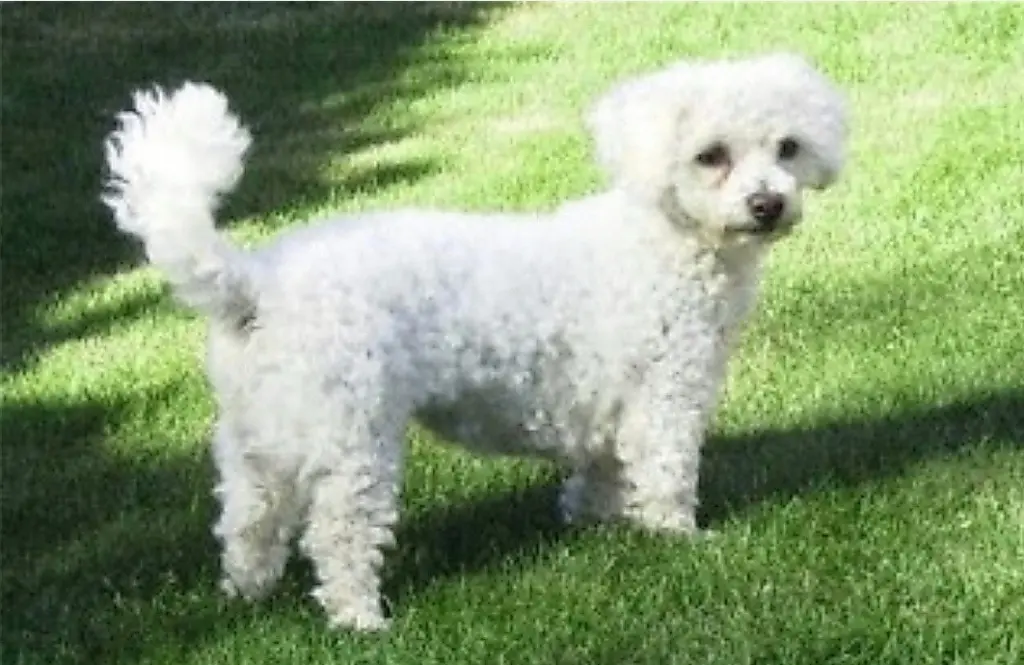 Condolence image of Immer ♡in♡meinem♡Herzen ♡