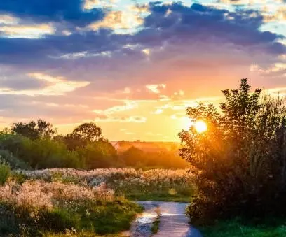 Condolence image of Petra mit Motte 