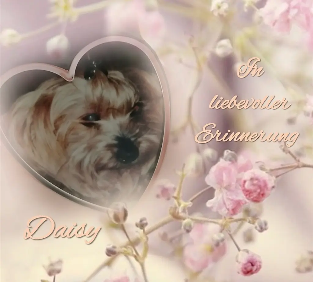 Condolence image of Immer ♡in♡meinem♡Herzen ♡