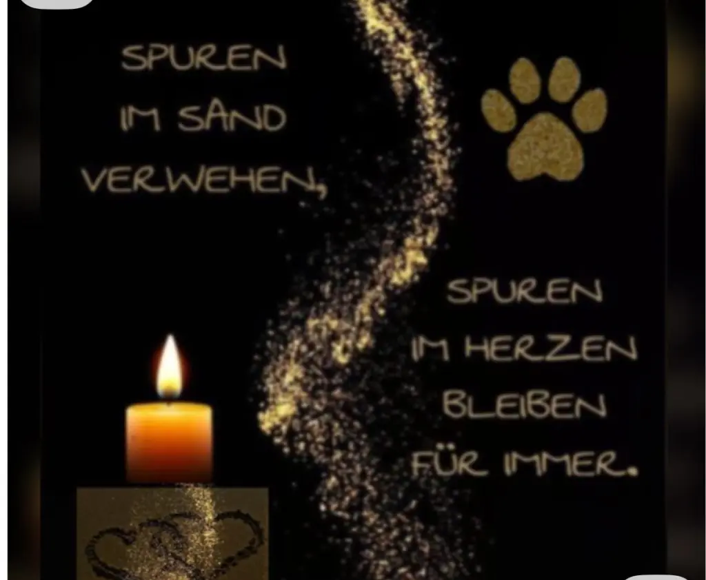 Condolence image of Für Daisy