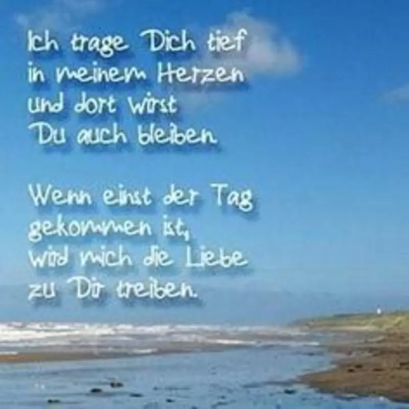 Condolence image of für Daisy❤️