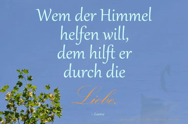 Condolence image of Petra mit Motte 