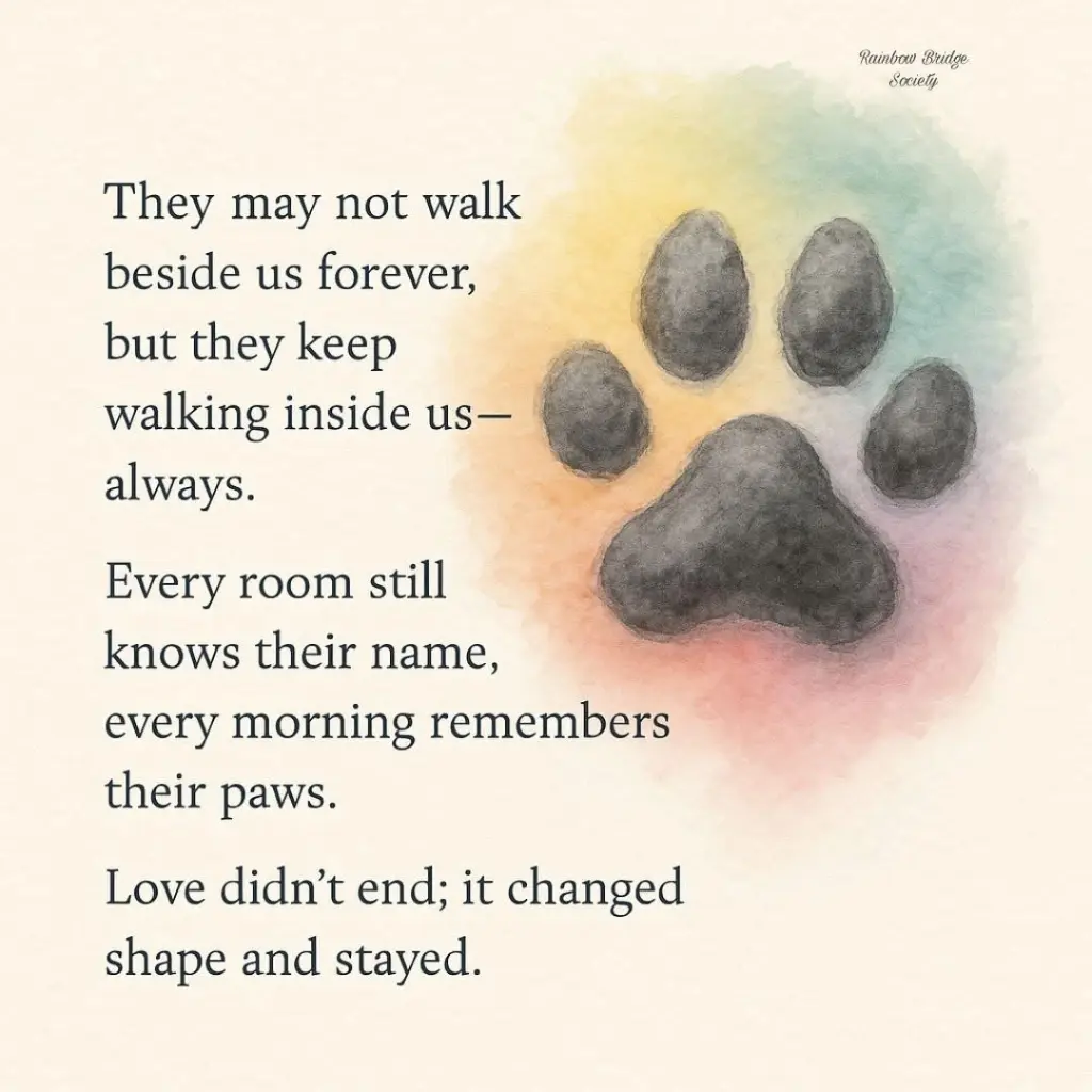 Condolence image of Für Buffy und die süßen Lakritznäschen