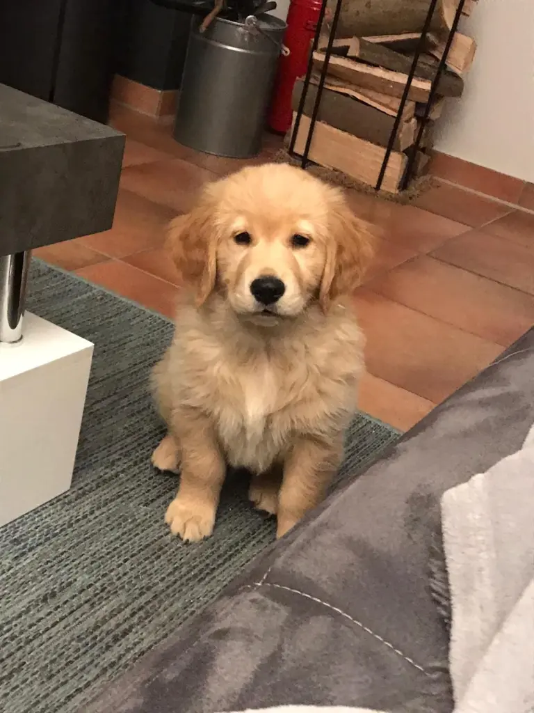 Condolence image of Andy ,Piet ❤️❤️ und Freddi ❤️