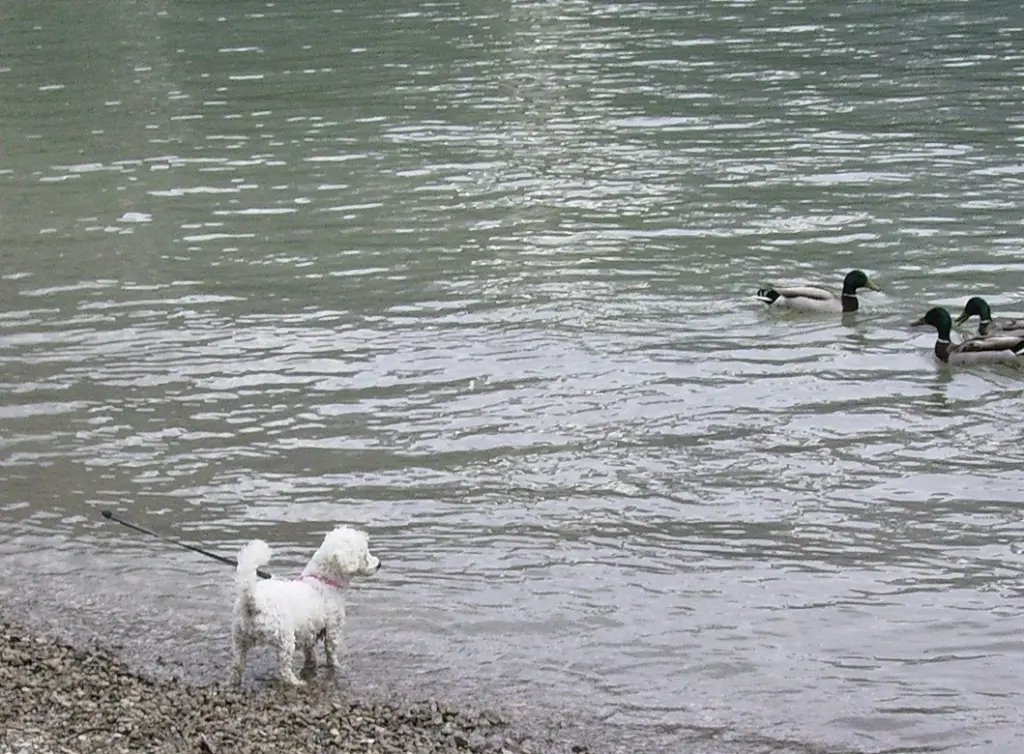 Condolence image of Unbekannt