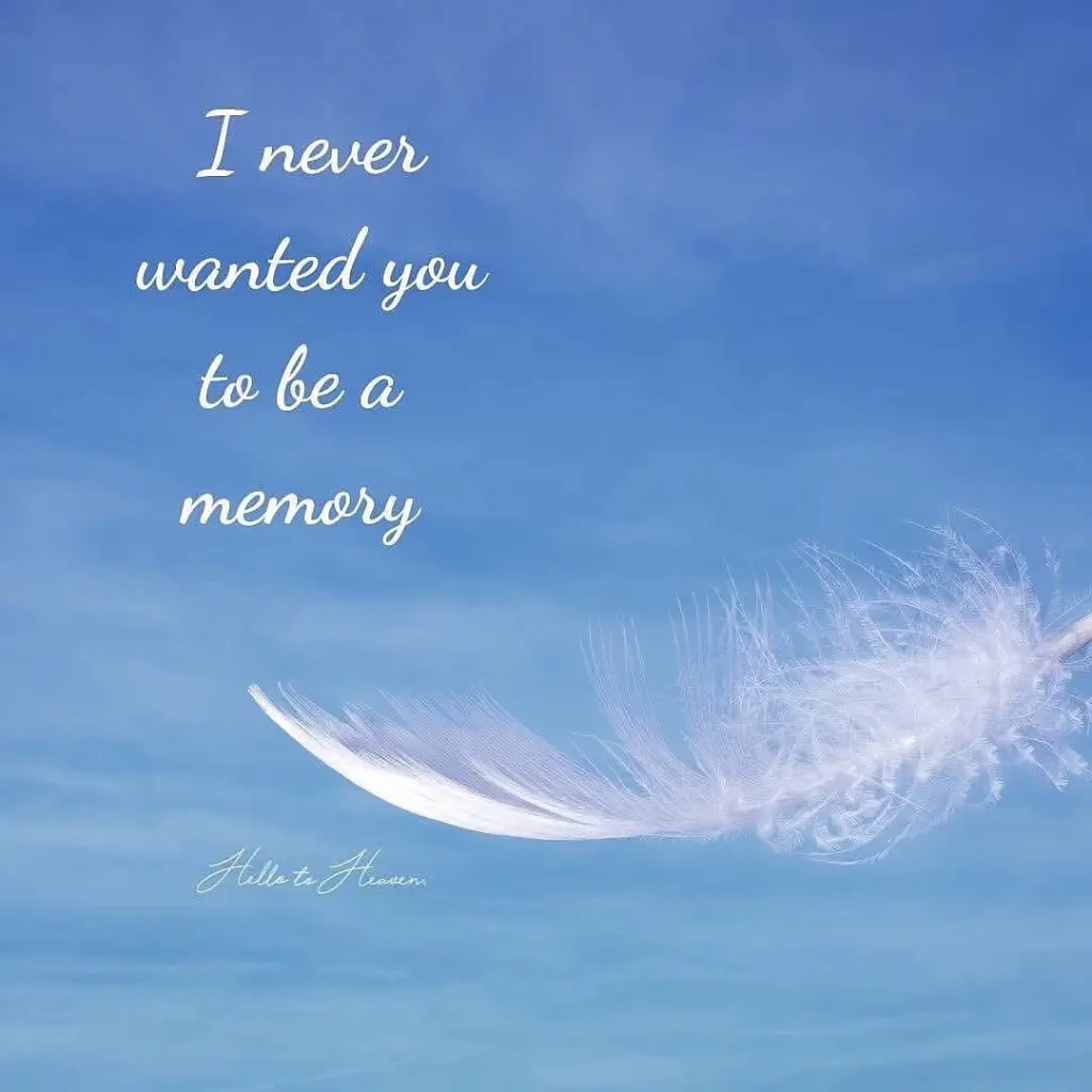 Condolence image of Für Snowy