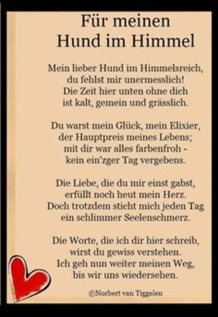 Condolence image of Paul mit "Seelenhund Spiky im Herzen"