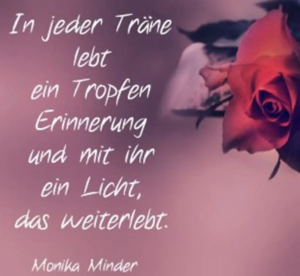 Condolence image of ♥️In liebevoller Erinnerung ♥️