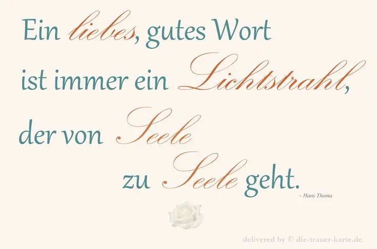 Condolence image of B. B. ❤️für Snowy ❤️