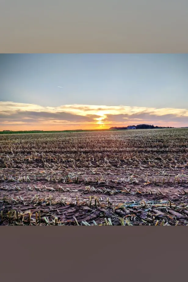 Condolence image of Corinna ♥️