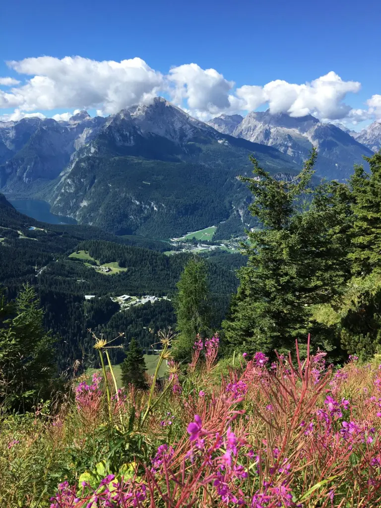 Condolence image of Cuddles