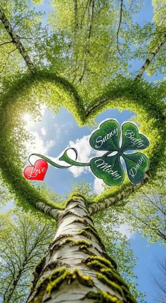 Condolence image of Micky♥️ geliebt♥️ und unvergessen♥️