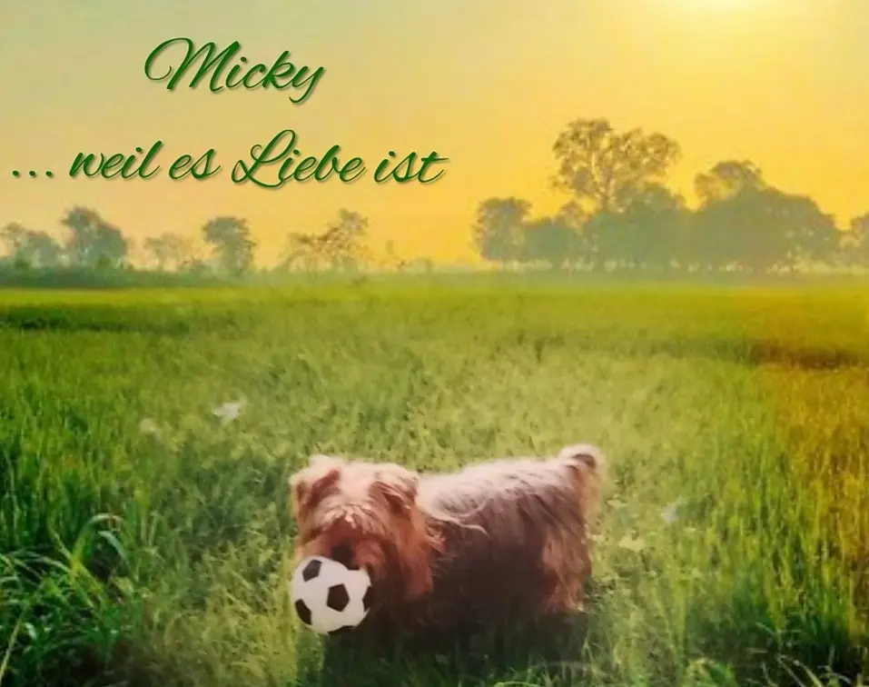 Condolence image of Immer ♡in♡meinem♡Herzen ♡