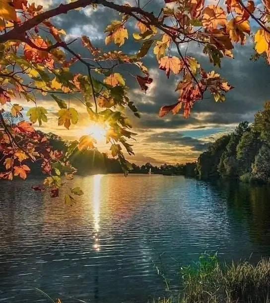 Condolence image of Petra mit Motte