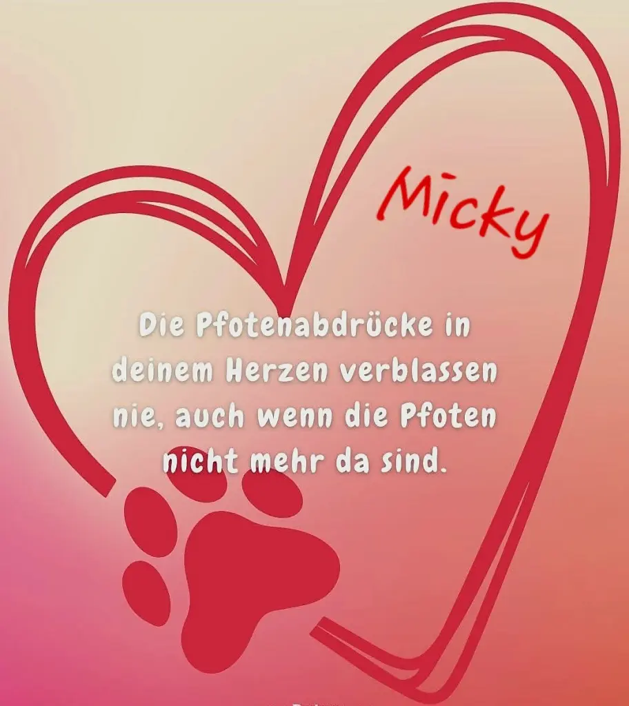 Condolence image of ❤️Micky❤️ für immer im Herzen ❤️