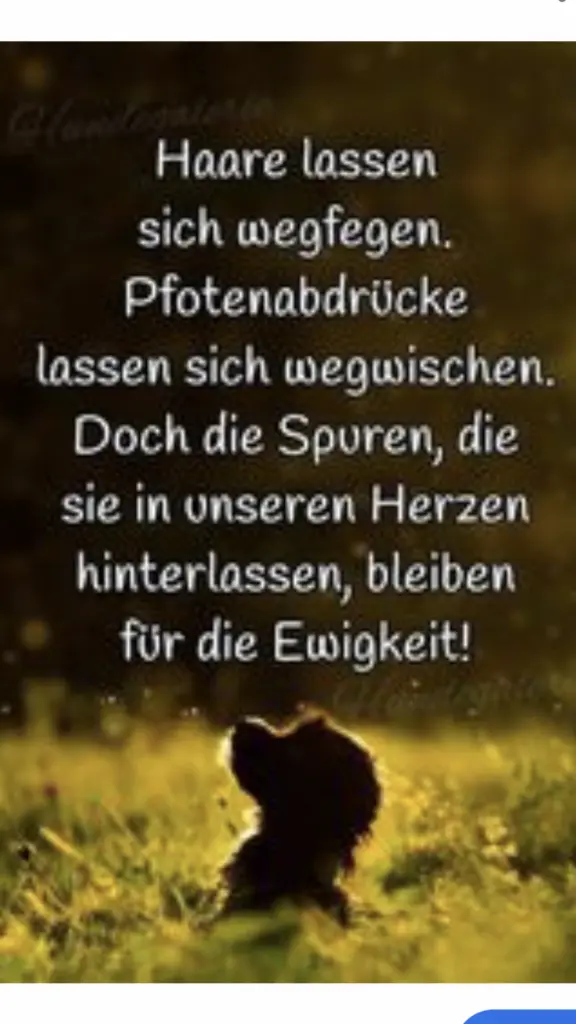 Condolence image of Heike 