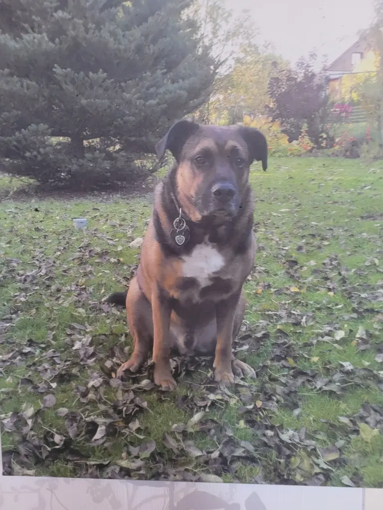 Condolence image of Gabriele