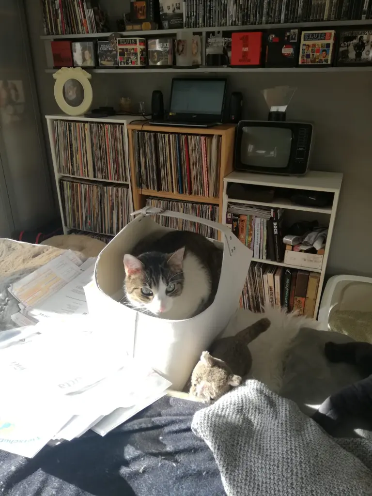 Condolence image of Beate mit Elvis im Herzen ❤