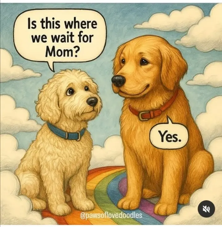 Condolence image of Dein treuer Freund Snupik  mit Aliya ❤️