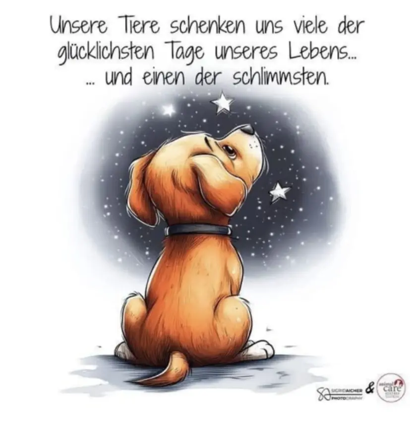 Condolence image of Wenke mit Lilli im❤️