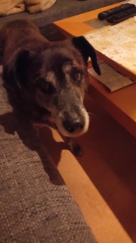 Condolence image of Gabi mit Max