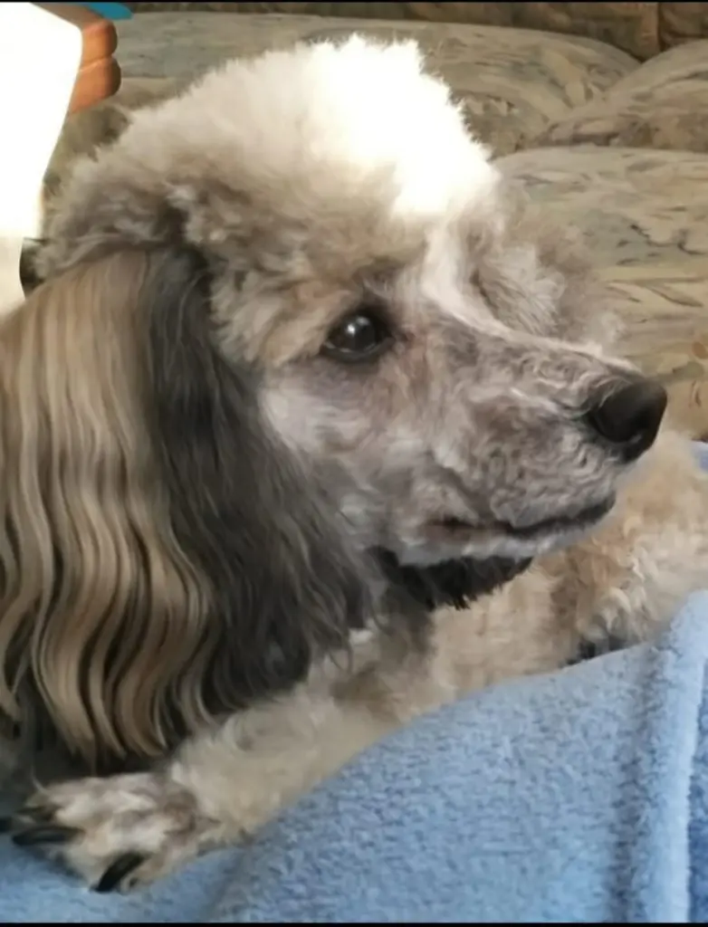 Condolence image of Nicky