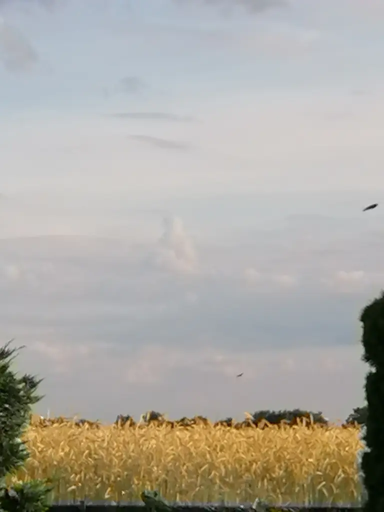 Condolence image of ♡