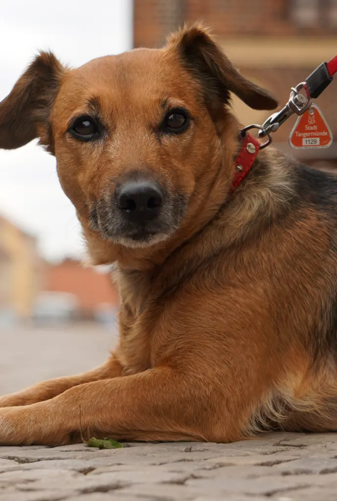 Condolence image of Von Fiby ❤️