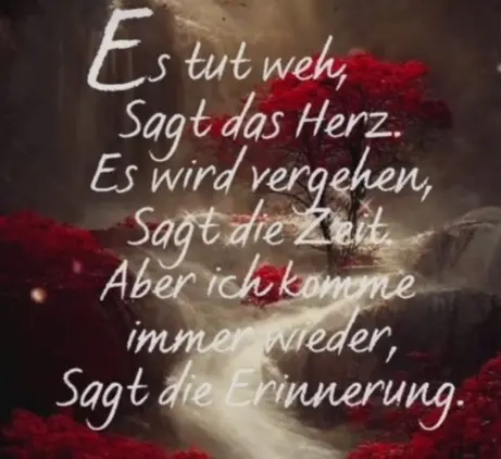 Condolence image of Petra mit Motte