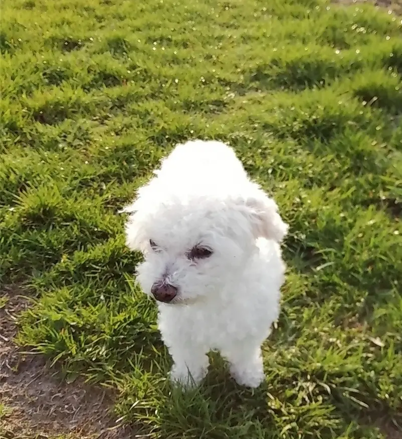 Condolence image of ♡