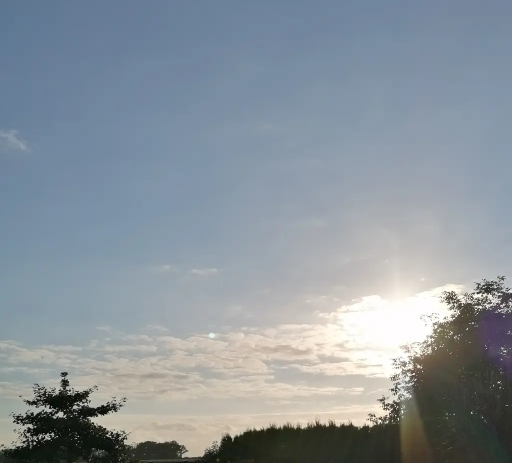 Condolence image of In liebevollem Gedenken für alle ♡🌹Sternchen🌹♡v. Gaby m. Snowy☙♡