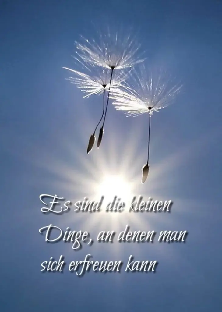 Condolence image of Ronny🐾& Mucky 🐾