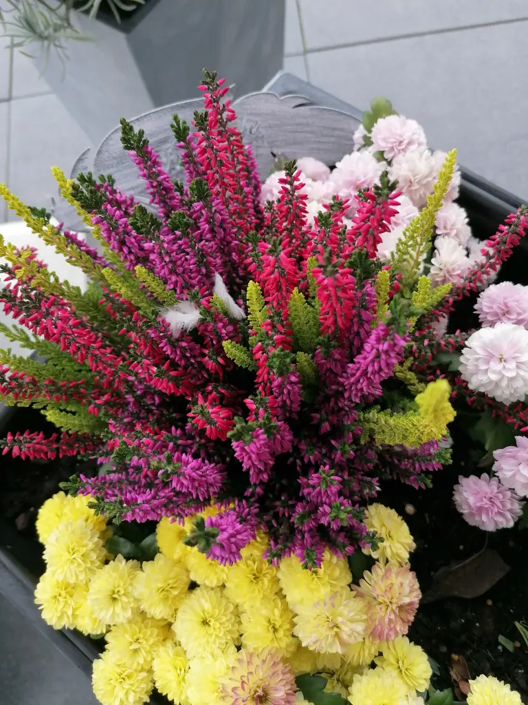 Condolence image of Immer♡ in ♡ meinem ♡ Herzen ♡