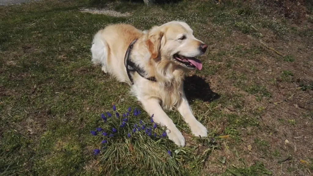 Condolence image of Peter& Christa