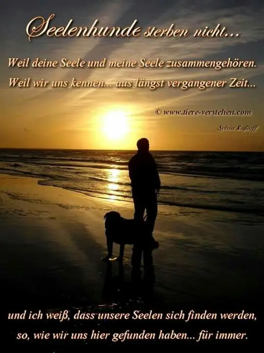 Condolence image of Paul mit "Spiky" im Herzen!