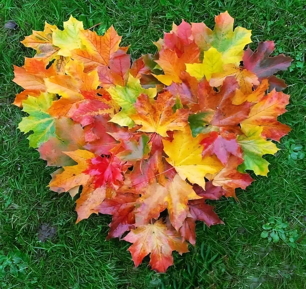 Condolence image of ❤️