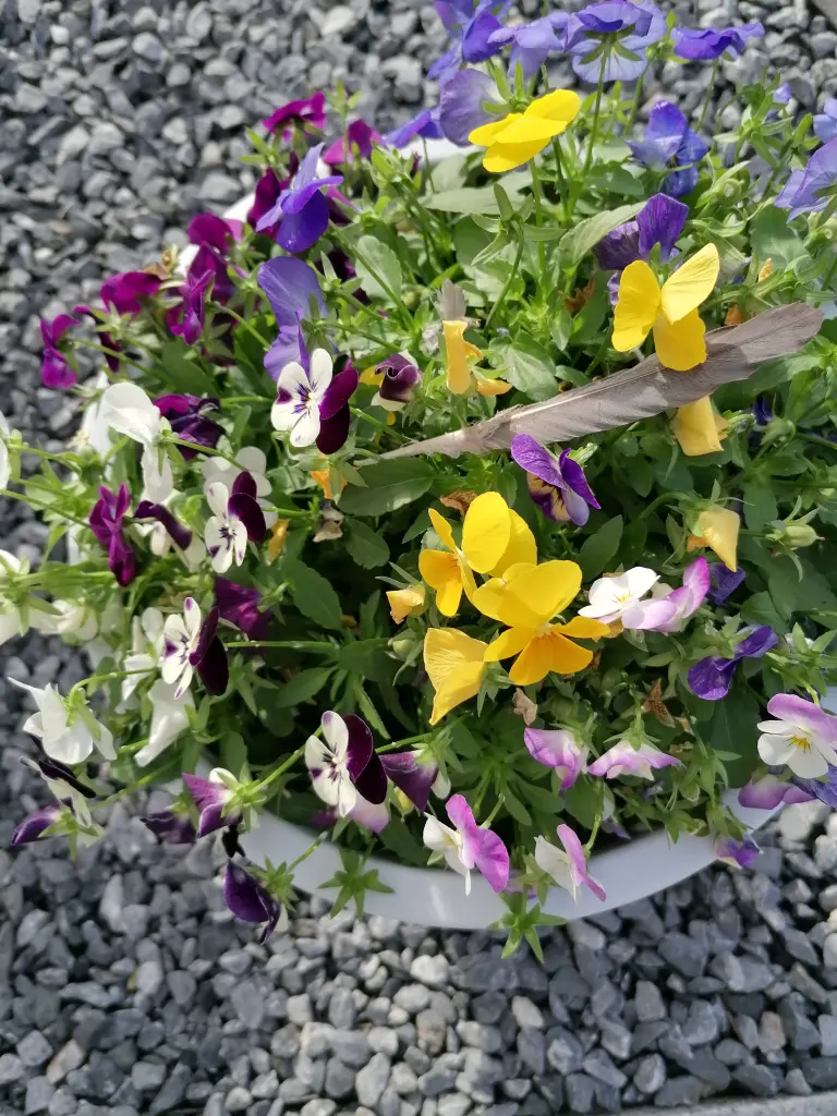 Condolence image of Immer♡ in ♡ meinem ♡ Herzen ♡