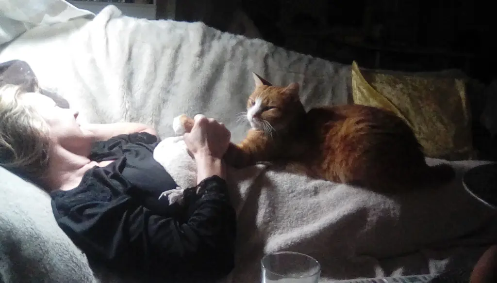 Condolence image of Beate mit Elvis im Herzen ❤