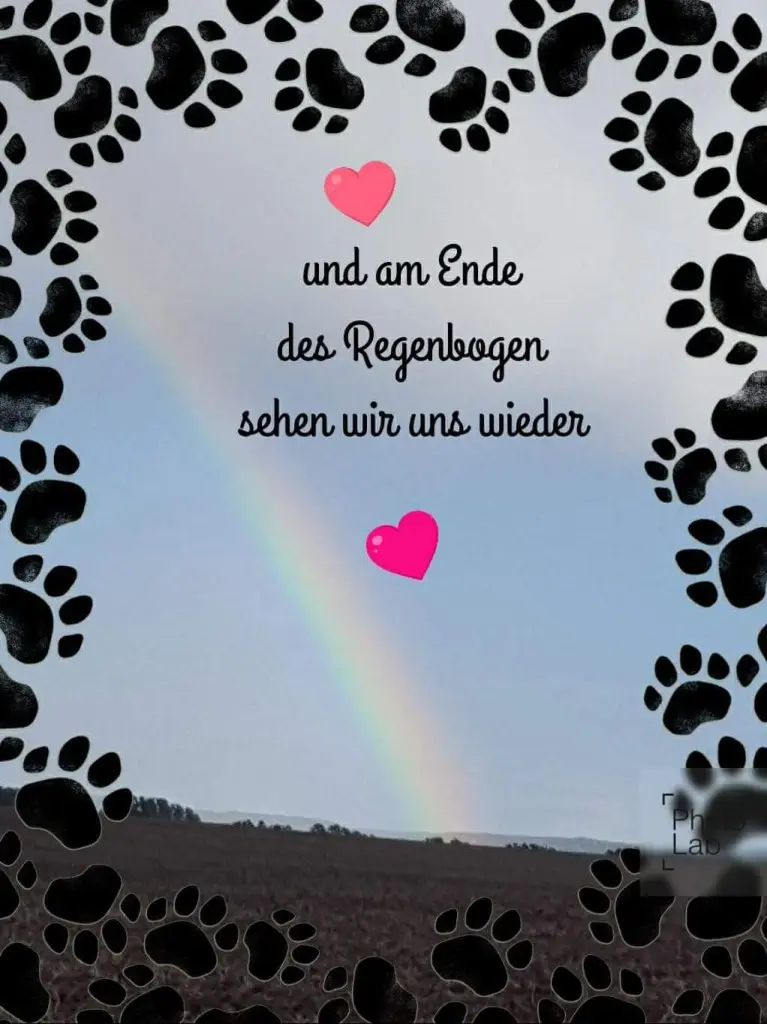 Condolence image of Iris mit Eliot und Linus im Herzen