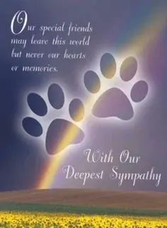 Condolence image of Cuddles ❤️