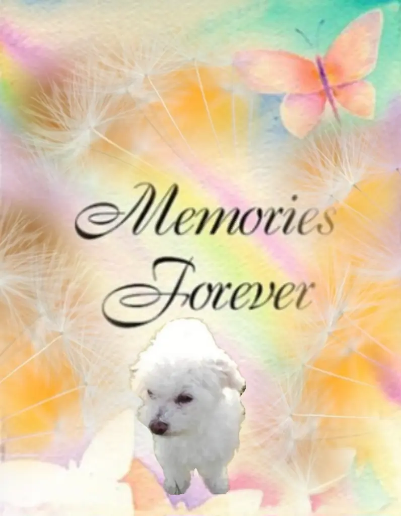 Condolence image of Snowy♥️ geliebt♥️ und unvergessen♥️