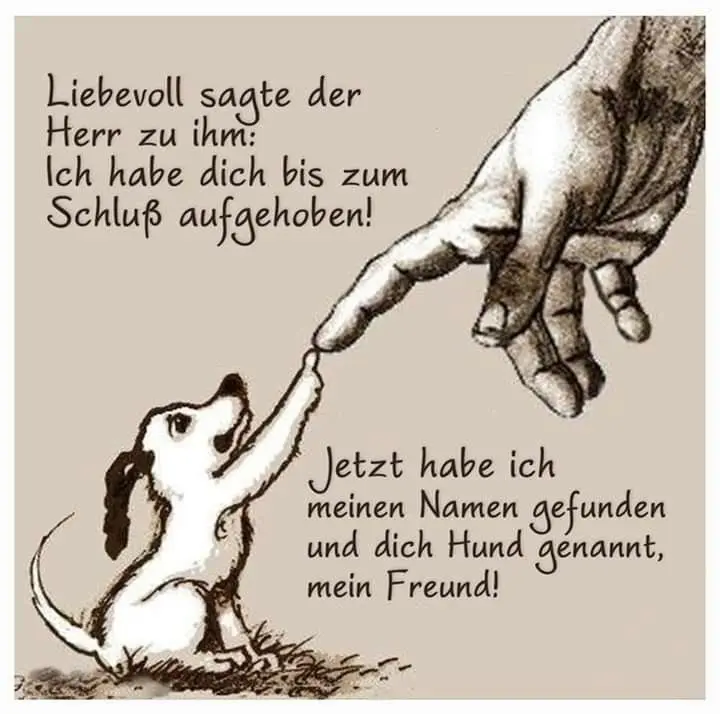 Condolence image of Paul mit "Spiky" im Herzen!