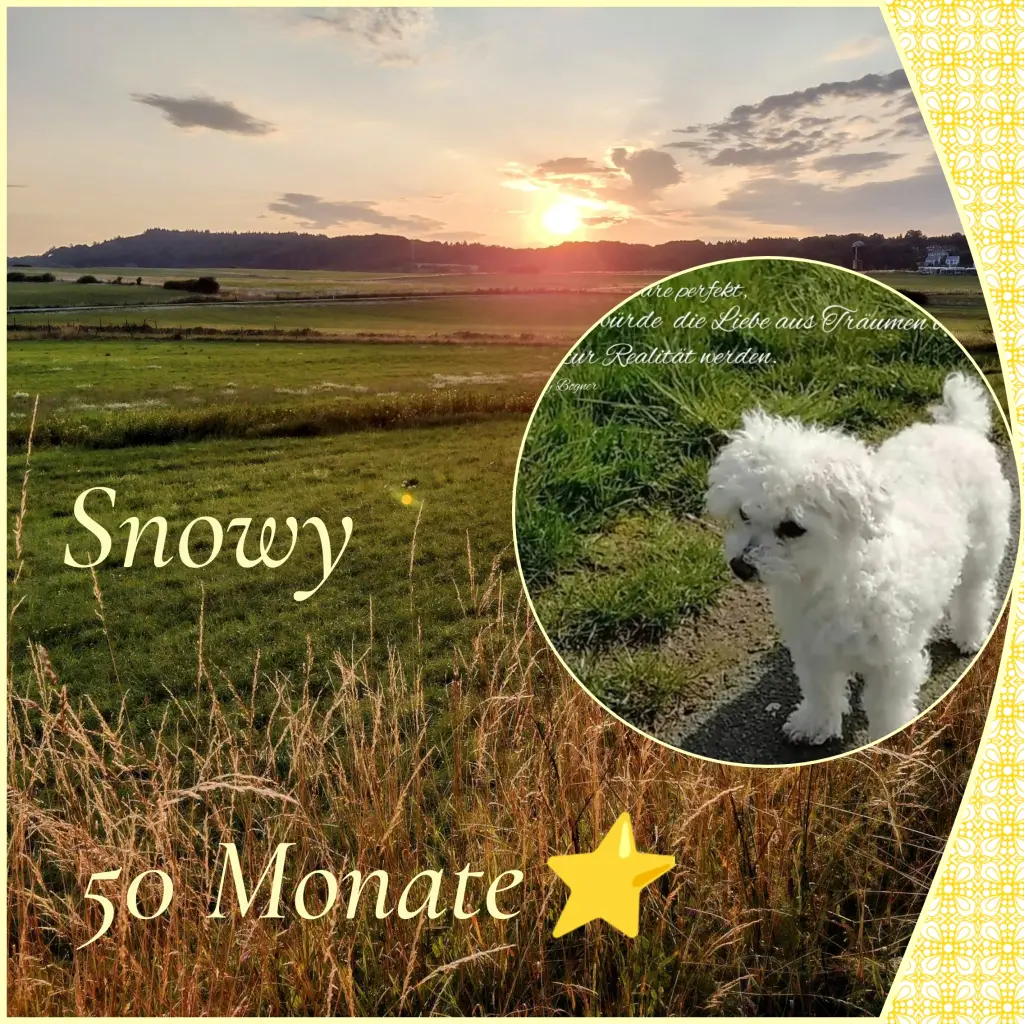 Condolence image of Corinna ❤️