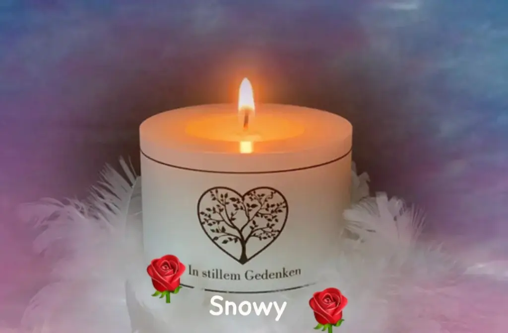 Condolence image of Dem Auge so fern, dem Herzen ewig nah