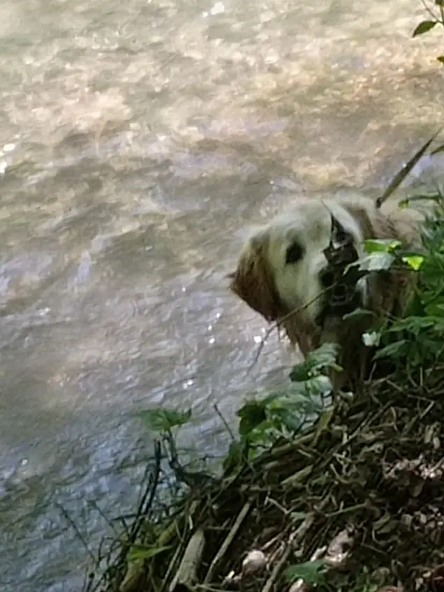 Condolence image of Peter Bronnenmayer