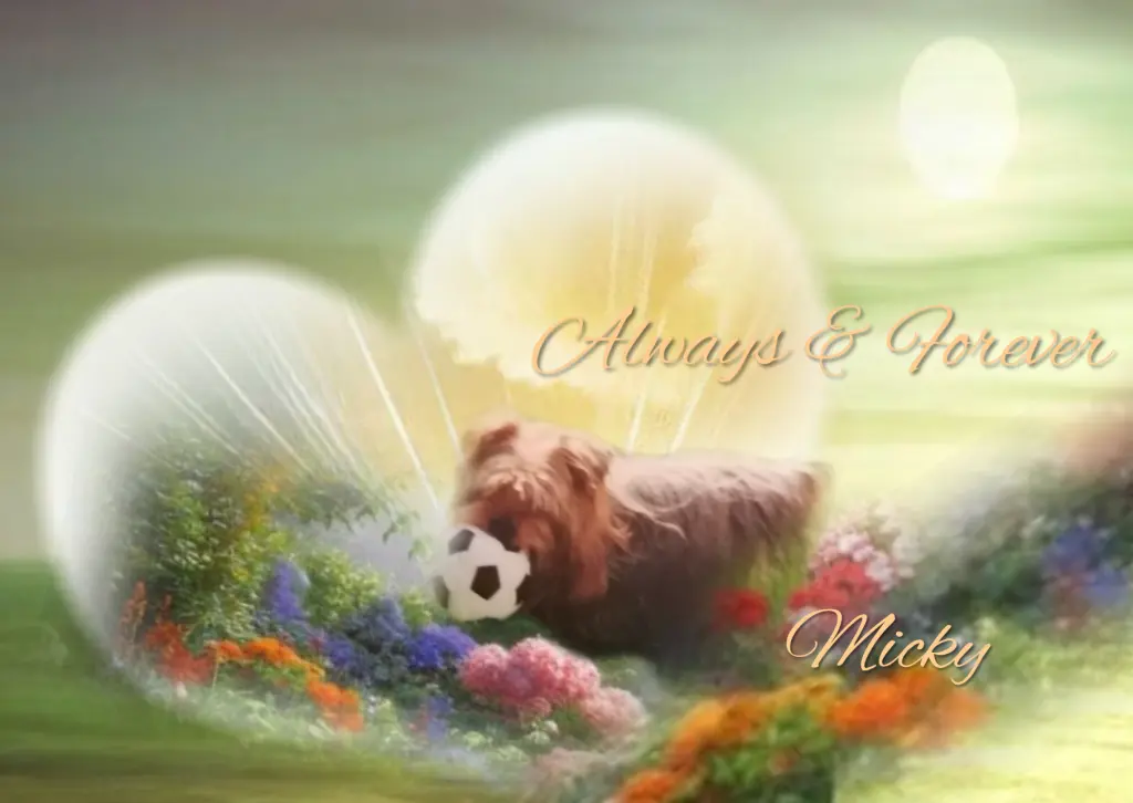 Condolence image of Immer♡ in ♡ meinem ♡ Herzen ♡