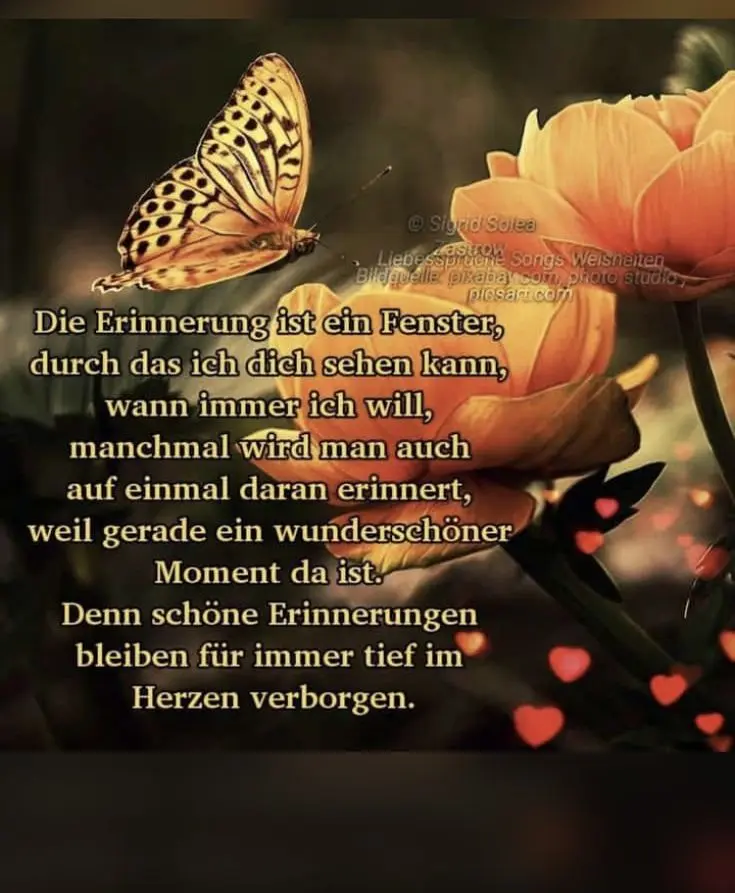 Condolence image of ❤️ In liebevolle Erinnerung ❤️